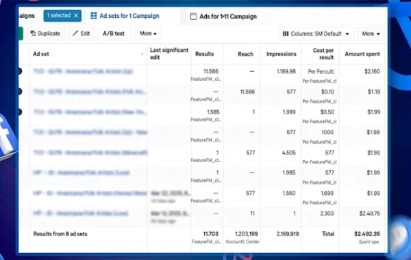 setup-and-manage-google-ads-adwords-ppc-campaigns (1)